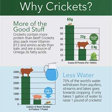 Bud’s Cricket Protein Powder - 100% Pure Cricket Powder, Gluten-Free, Dairy-Free, High Protein Flour Substitute Excellent Source of Vitamin B12, Omega-3, Fiber, Amino Acids, Calcium & Iron (1/2 LB)