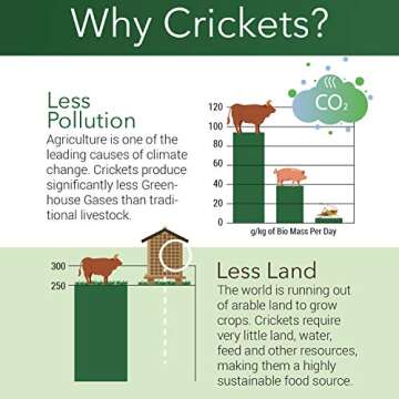 Bud’s Cricket Protein Powder - 100% Pure Cricket Powder, Gluten-Free, Dairy-Free, High Protein Flour Substitute Excellent Source of Vitamin B12, Omega-3, Fiber, Amino Acids, Calcium & Iron (1/2 LB)