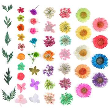 ANPHSIN 48 Colors Dried Flowers for Crafts- 4 Boxes Mini Natural Real Pressed Flowers Supplies for R...