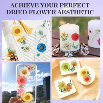ANPHSIN 48 Colors Dried Flowers for Crafts- 4 Boxes Mini Natural Real Pressed Flowers Supplies for Resin Mold, Candle, Epoxy Jewelry, Scrapbooking, Soap Making, Nail Art Sticker Decoration DIY Crafts