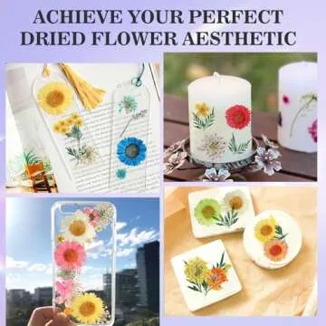 ANPHSIN Dried Flowers for Unique Craft Projects