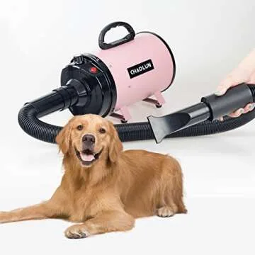 CHAOLUN High Velocity Dog Dryer, Adjustable Speed for Pets