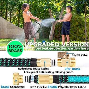 Greness 100 FT Expandable, Lightweight Garden Water Hose with 3/4, Black&Green