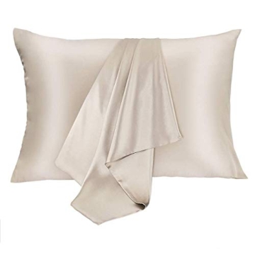 JOGJUE 2 Pack 100% Mulberry Silk Pillowcases with Hidden Zipper - Hypoallergenic and Breathable