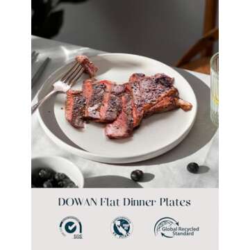 DOWAN 10.5” Moon-White Sesame Glaze Large Dinner Plates Set of 6, Porcelain Ceramic, Microwave, Ov...