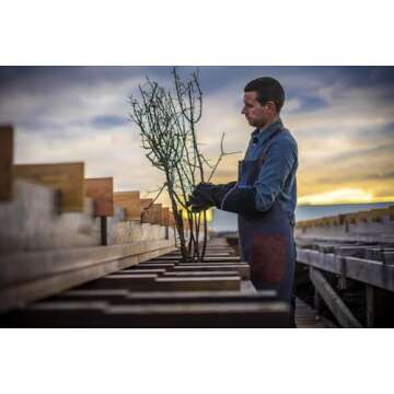 Blackthorn Scottish Gourmet Sea Salt Flakes - Elevate Your Cooking