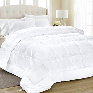Equinox International Queen Comforter - Soft and Cozy