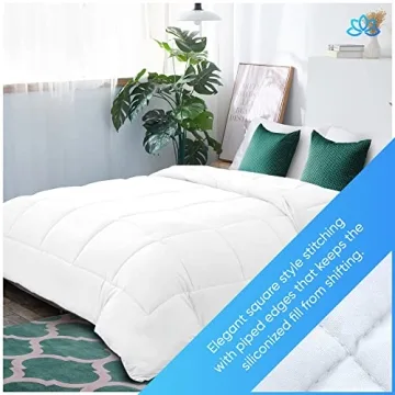 Equinox International Queen Comforter - Soft and Cozy