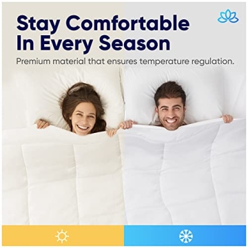 Equinox International Queen Comforter - Soft and Cozy