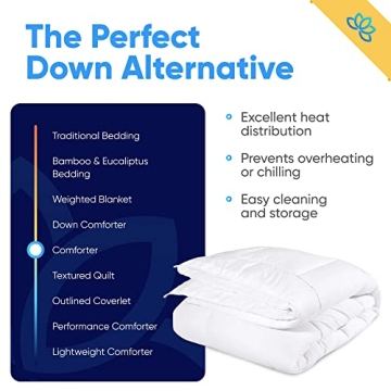 Equinox International Queen Comforter - Soft and Cozy