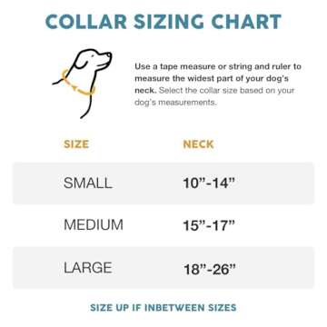 Embark Urban Dog Collar – Stylish & Durable Nylon Dog Collars for Large Dogs, Comfortable Pet Coll...