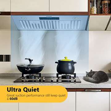 30 Inch Range Hood Insert with Gesture Control and 900 CFM