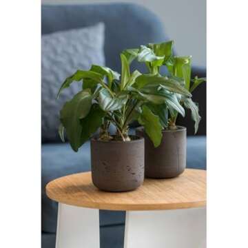 Pottery Pots Black Washed Fiberstone Indoor and Outdoor Flower Pot - Classic Modern Charcoal Planter 9.5" H x 10" W