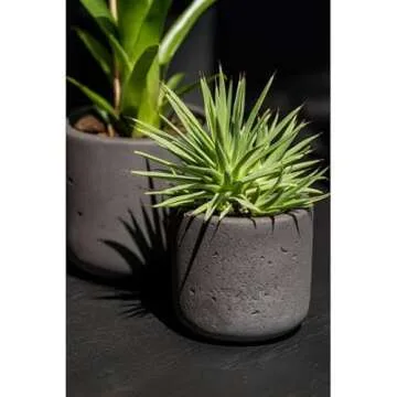 Pottery Pots Black Washed Fiberstone Indoor and Outdoor Flower Pot - Classic Modern Charcoal Planter 9.5" H x 10" W