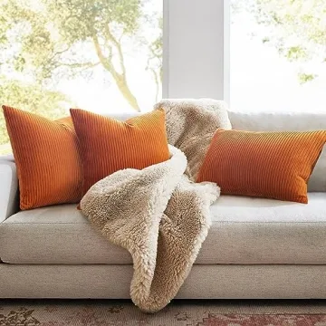YCOLL Burnt Orange Velvet Pillow Covers 22x22 Set of 2