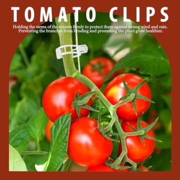 FANDAMEI 300 PCS Plant Support Clips for Gardeners