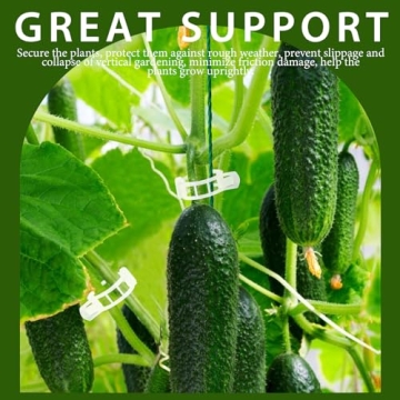 FANDAMEI 300 PCS Plant Support Clips for Gardeners