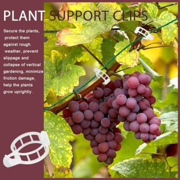 FANDAMEI 300 PCS Plant Support Clips for Gardeners