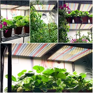 BAVIHOR Grow Light 2-Pack Full Spectrum 200W LED Indoor