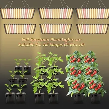 BAVIHOR Grow Light 2-Pack Full Spectrum 200W LED Indoor