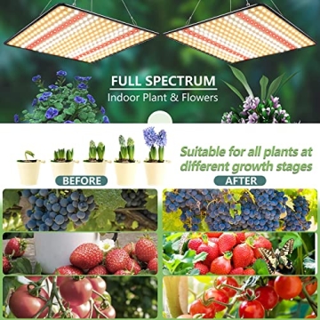 BAVIHOR Grow Light 2-Pack Full Spectrum 200W LED Indoor