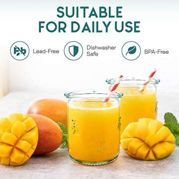 Amici Home Eco-Friendly Bee Design Glasses Set of 6