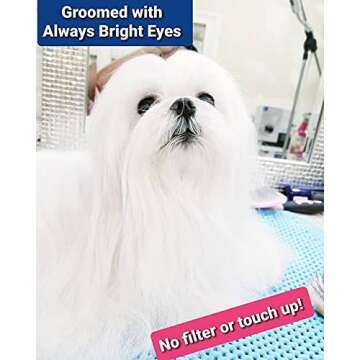 Always Bright Eyes - Tear Stain Remover for Dogs - Complete Set. All Natural, Safe & Effective for All Light Coated Breeds, Set Includes 4 Oz./118ml. Liquid, 2 Oz./56.7g Powder