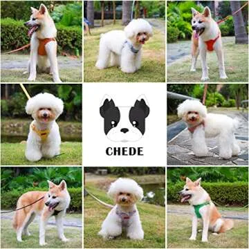 CHEDE No Pull Puppy Harness and Multifunction Dog Leash Set- 8 Colors Soft Adjustable No Choke Escape Proof Cute,Lightweight Pet Vest Harness for Small and Medium Dog (XS, Antique Pink)