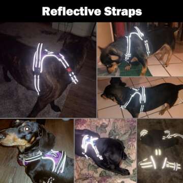 Reflective Dog Harness for Large Breeds - No Pull Vest