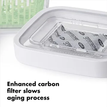 OXO GreenSaver Produce Keeper for Long Lasting Freshness