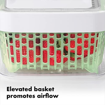 OXO GreenSaver Produce Keeper for Long Lasting Freshness