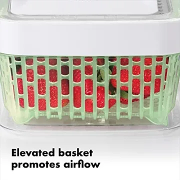 OXO GreenSaver Produce Keeper for Long Lasting Freshness