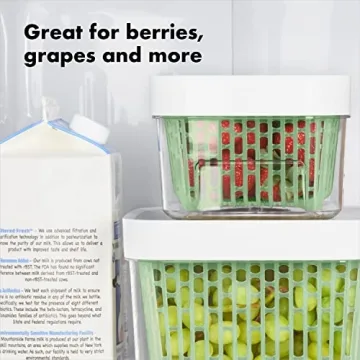 OXO GreenSaver Produce Keeper for Long Lasting Freshness