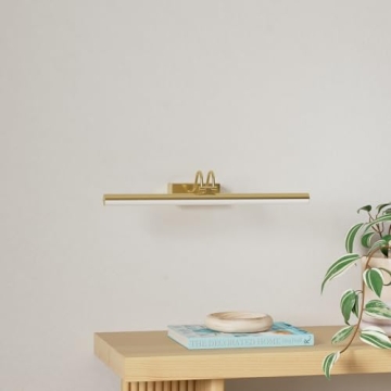 RAIFOOLLY Picture Light for Art with Remote Control