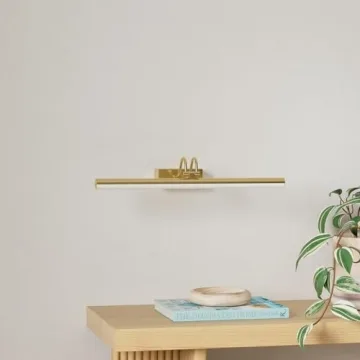 RAIFOOLLY Picture Light for Art with Remote Control