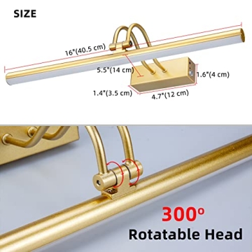 RAIFOOLLY Picture Light for Art with Remote Control