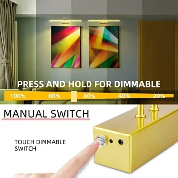 RAIFOOLLY Picture Light for Art with Remote Control