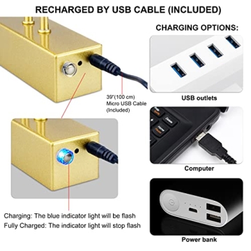 RAIFOOLLY Picture Light for Art with Remote Control