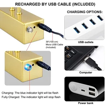 RAIFOOLLY Picture Light for Art with Remote Control