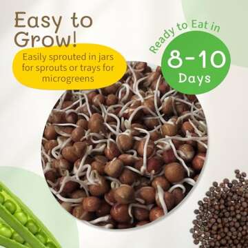 Grow Organic Speckled Pea Sprouts at Home for Healthy Meals