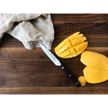 HENCKELS Classic Razor-Sharp 4-inch Paring Knife, German Engineered Informed by 100+ Years of Mastery, Stainless Steel