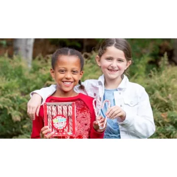 YumEarth Organic Holiday Mini Candy Canes 30 Count