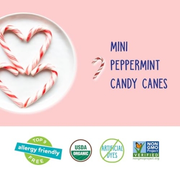 YumEarth Organic Holiday Mini Candy Canes 30 Count