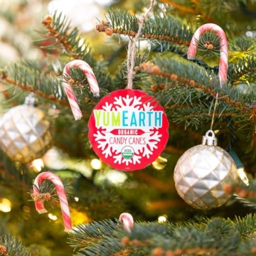 YumEarth Organic Holiday Mini Candy Canes 30 Count