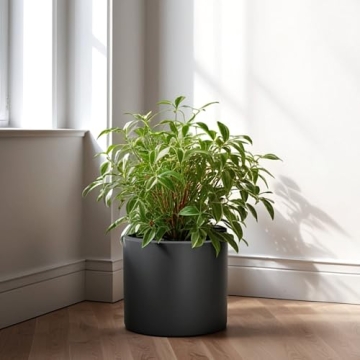 Fox & Fern 8 Inch Plant Pot with Drainage - Premium Lightweight Fiberstone Matte Black Planter; Indo...