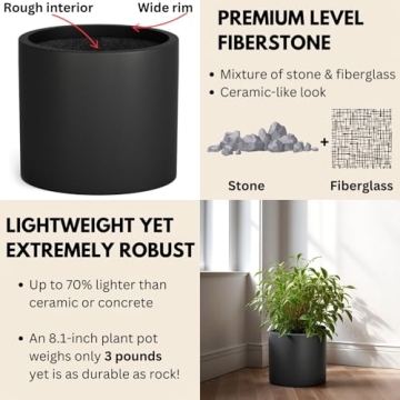 Fox & Fern 8 Inch Planter with Drainage - Lightweight Fiberstone