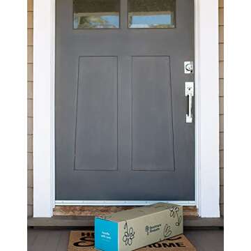 Charming Alstroemeria Flowers - Fresh & Vibrant Blooms