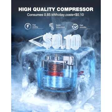 Double Door Mini Fridge with Freezer Ideal for Dorms