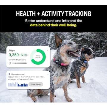 Fi Series 3 Smart Dog Collar - GPS Dog Tracker and Activity & Fitness Monitor, Waterproof, LED Light, Escape Alerts, Nationwide Coverage [Free 1 Year Membership] (Gray, Medium)