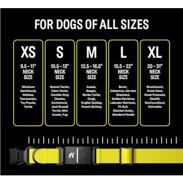 Fi Series 3 Smart Dog Collar - GPS Dog Tracker and Activity & Fitness Monitor, Waterproof, LED Light, Escape Alerts, Nationwide Coverage [Free 1 Year Membership] (Gray, Medium)